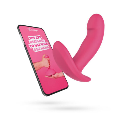VIBRATOR EasyConnect Ivy App